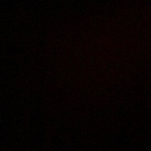 Meet your Posher, Clara